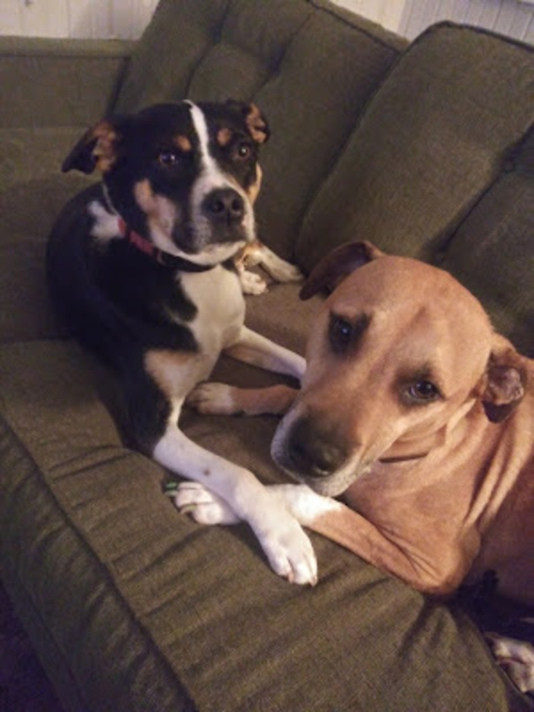 Meet your Posher, Dean